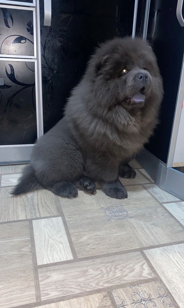 Gucci (Sans Affixe)